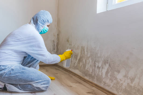Licensed Crawl Space Mold Removal service in Freeport, TX - WQB Mold Removal