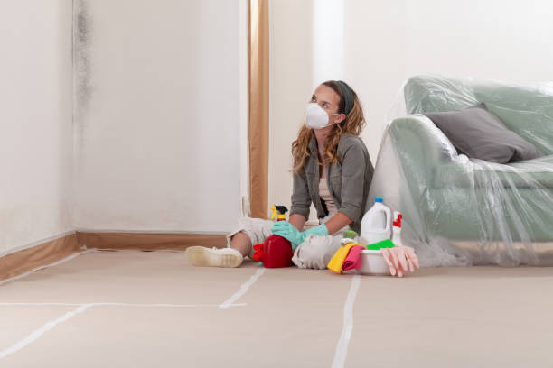 Trusted Crawl Space Mold Removal service in Freeport, TX - WQB Mold Removal